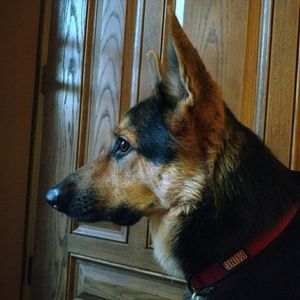 Meet your Posher, Jess